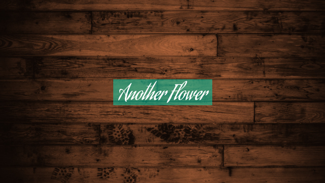Another Flower