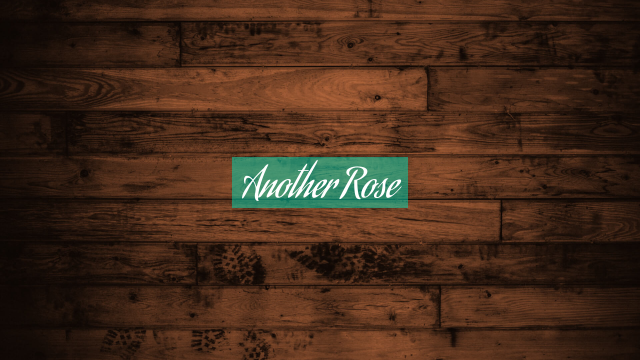 Another Rose