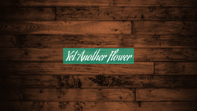 Yet Another Flower
